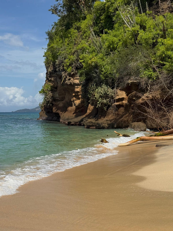 A Beach for Every Mood — 6 Grenadian Coastlines We Love